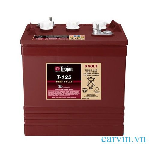 ắc quy Trojan T-125 6v 240ah
