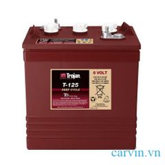 Ắc quy Trojan 6V 240AH T-125