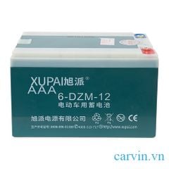 Ắc quy xe đạp điện Xupai 12V 12AH