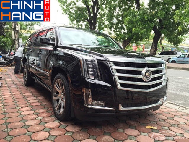 Bảng Giá Xe Cadillac Việt Nam 2023  Thông số kỹ thuật Hình ảnh Đánh giá  Tin tức  Autofun