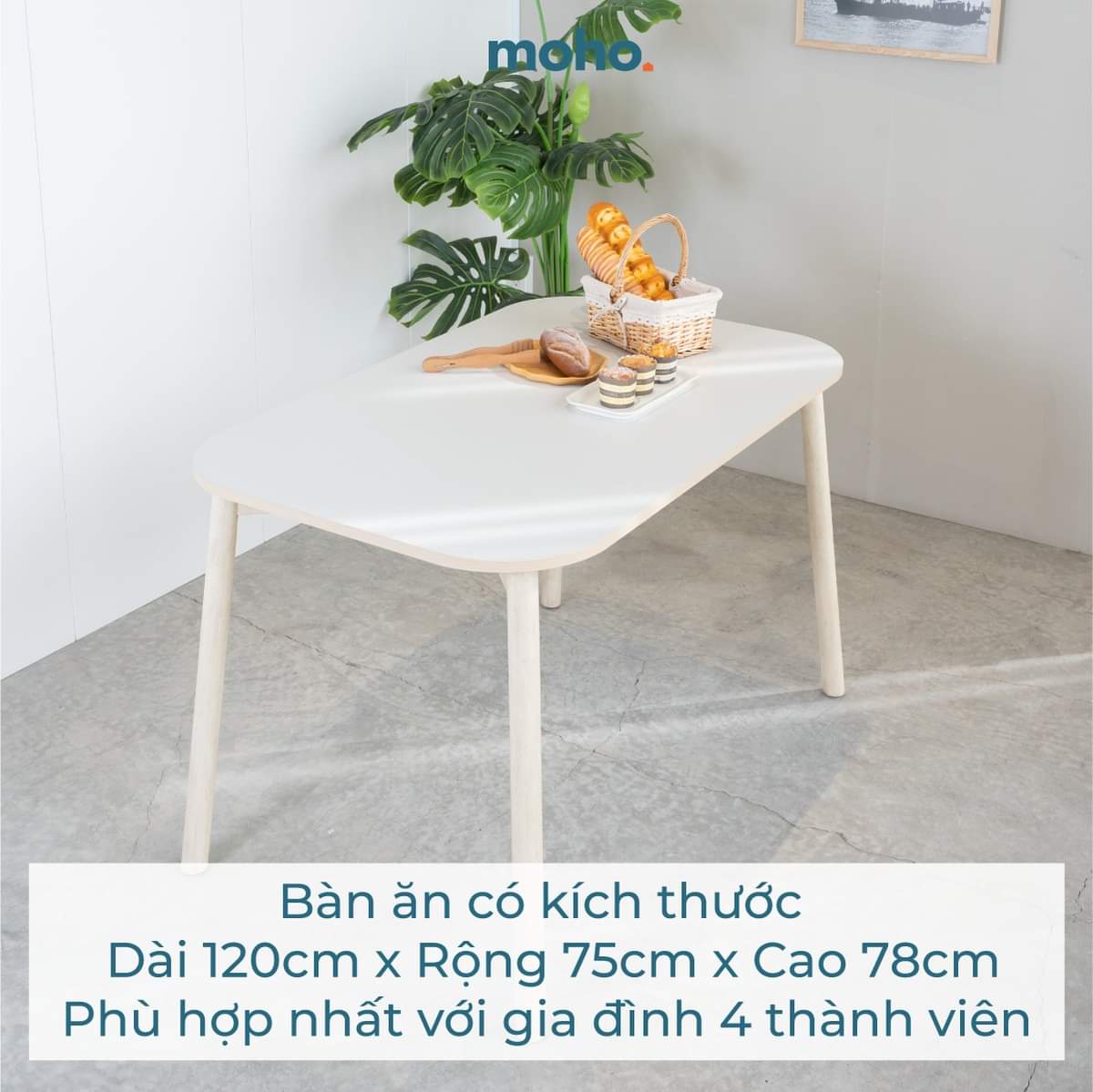  Combo Basic Phòng Ăn Narvik 201 Màu Tự Nhiên 