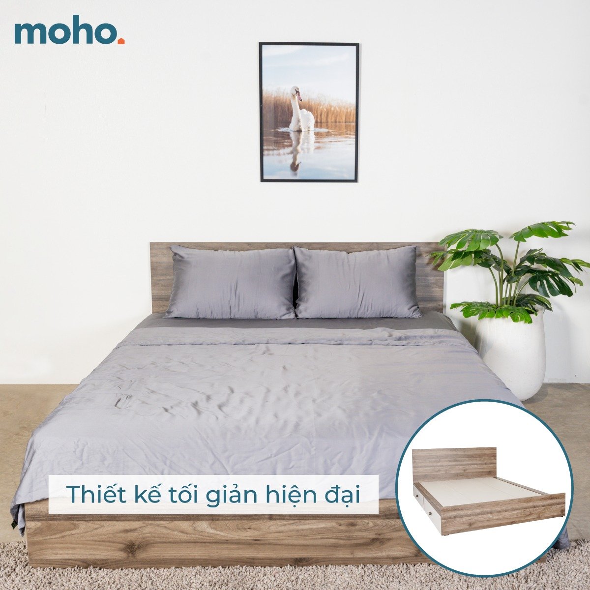 Giường Ngủ Gỗ Có Hộc MOHO GRENAA 201 