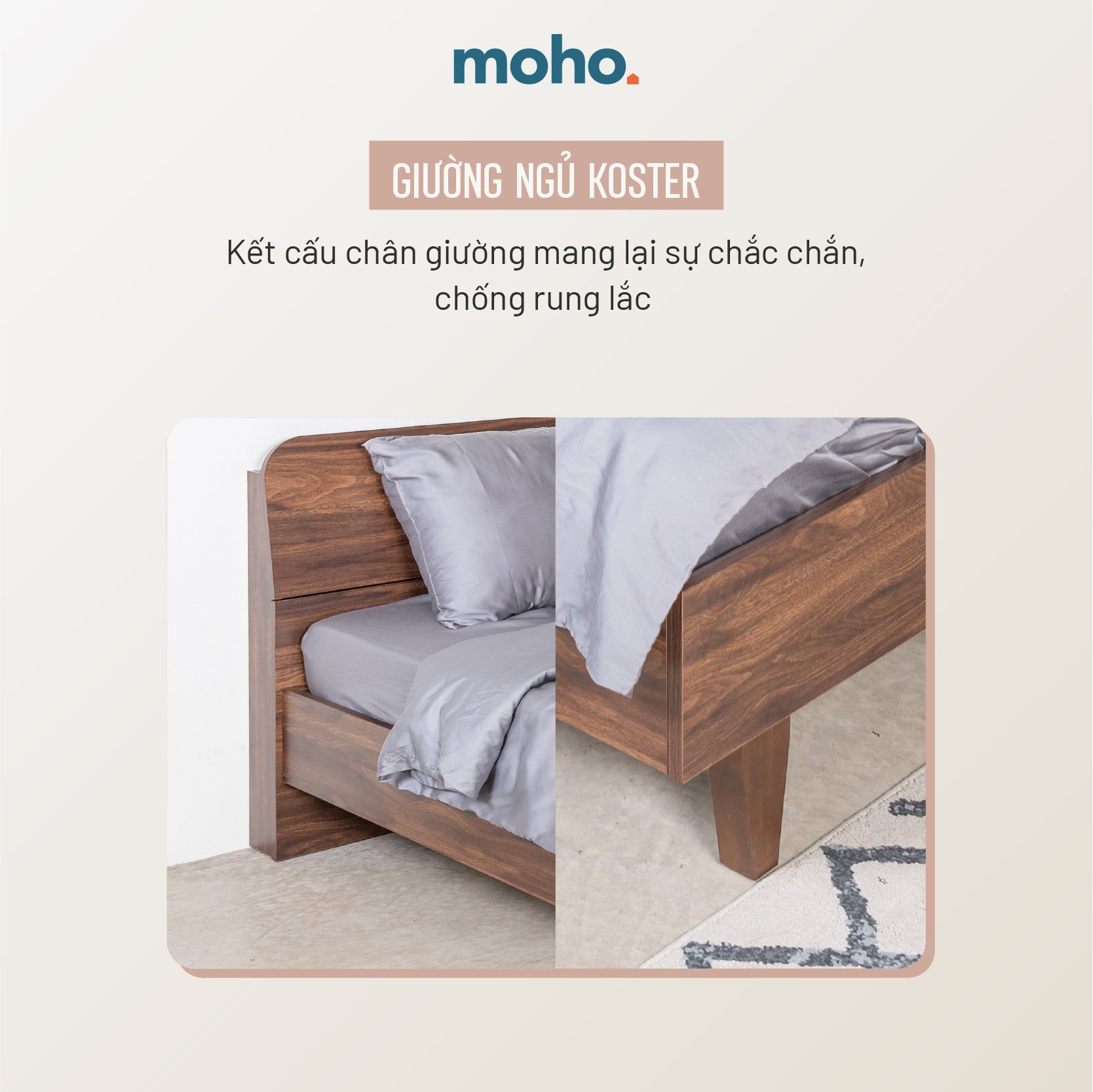  Giường Ngủ MOHO KOSTER Màu Nâu 1m6 