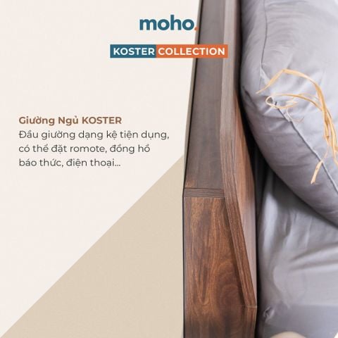  Giường Ngủ MOHO KOSTER Màu Nâu 1m6 