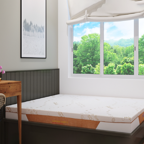  Nệm Cao Su MOUSSE ALOEVERA SLEEP 01 - Bảo Hành 8 Năm 