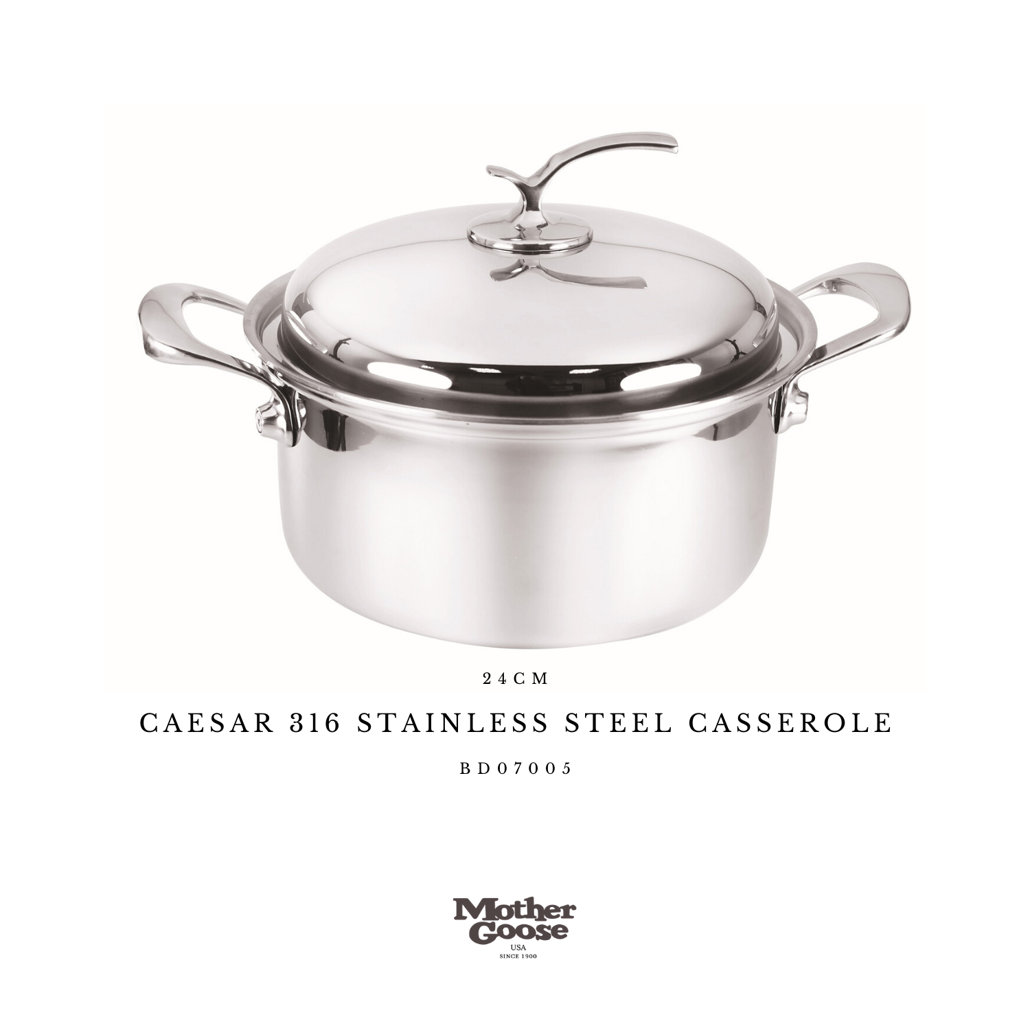  CAESAR 316 STAINLESS STEEL CASSEROLE  24 CM 