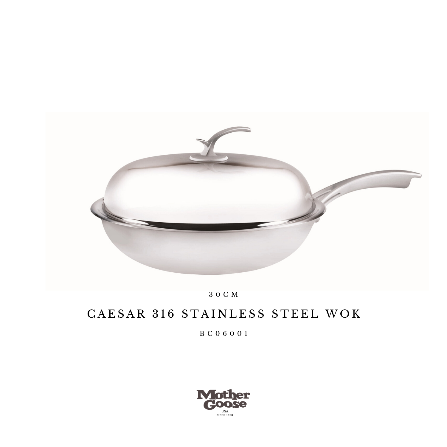  CAESAR 316 STAINLESS STEEL WOK 30CM 