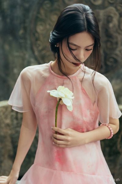  Đầm Tơ Hiên Lan 