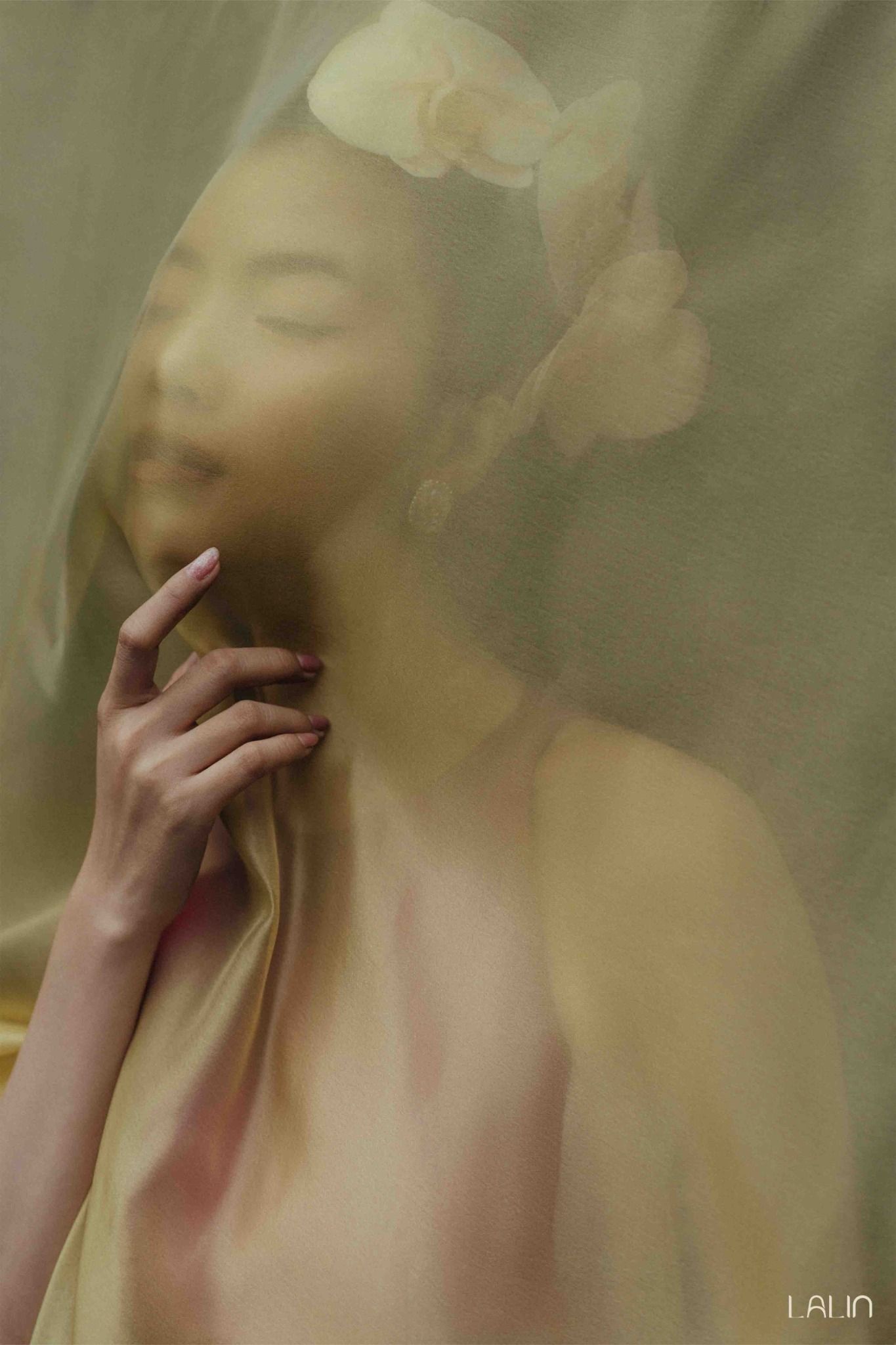 Đầm Tafta Cẩm Vũ