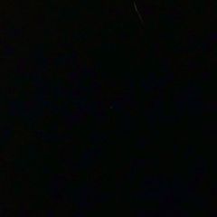  Giày nam kiểu Loafer Moreschi 