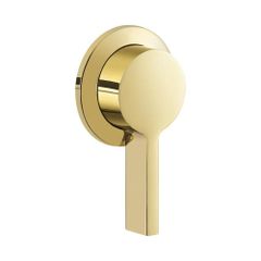 Tay van gạt nước của vòi chậu rửa Kohler Components K-77980T-4A-AF