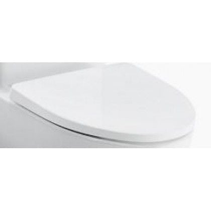 Nắp bồn cầu Kohler Family Care K-23204T-0