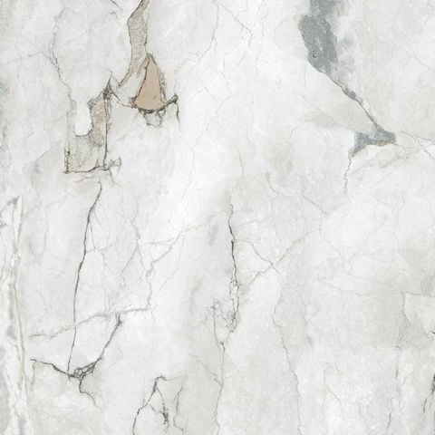 Gạch Exclusive Suprime White EXC.SUPRIM.WHITE.1212.WB