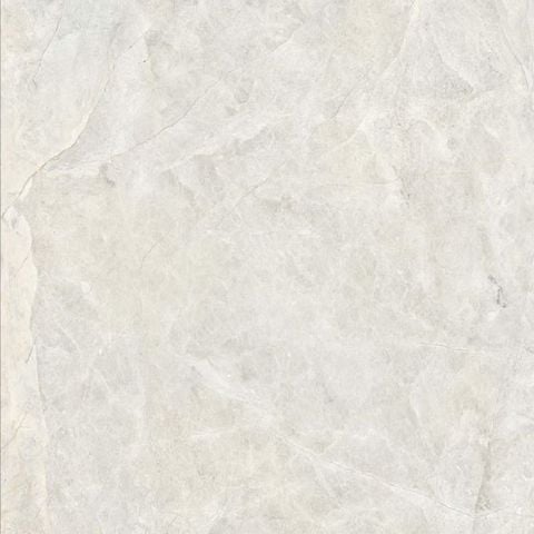 Gạch EXCLUSIVE THUNDER SILVER EXC.THUN.SILVER.1212.WB