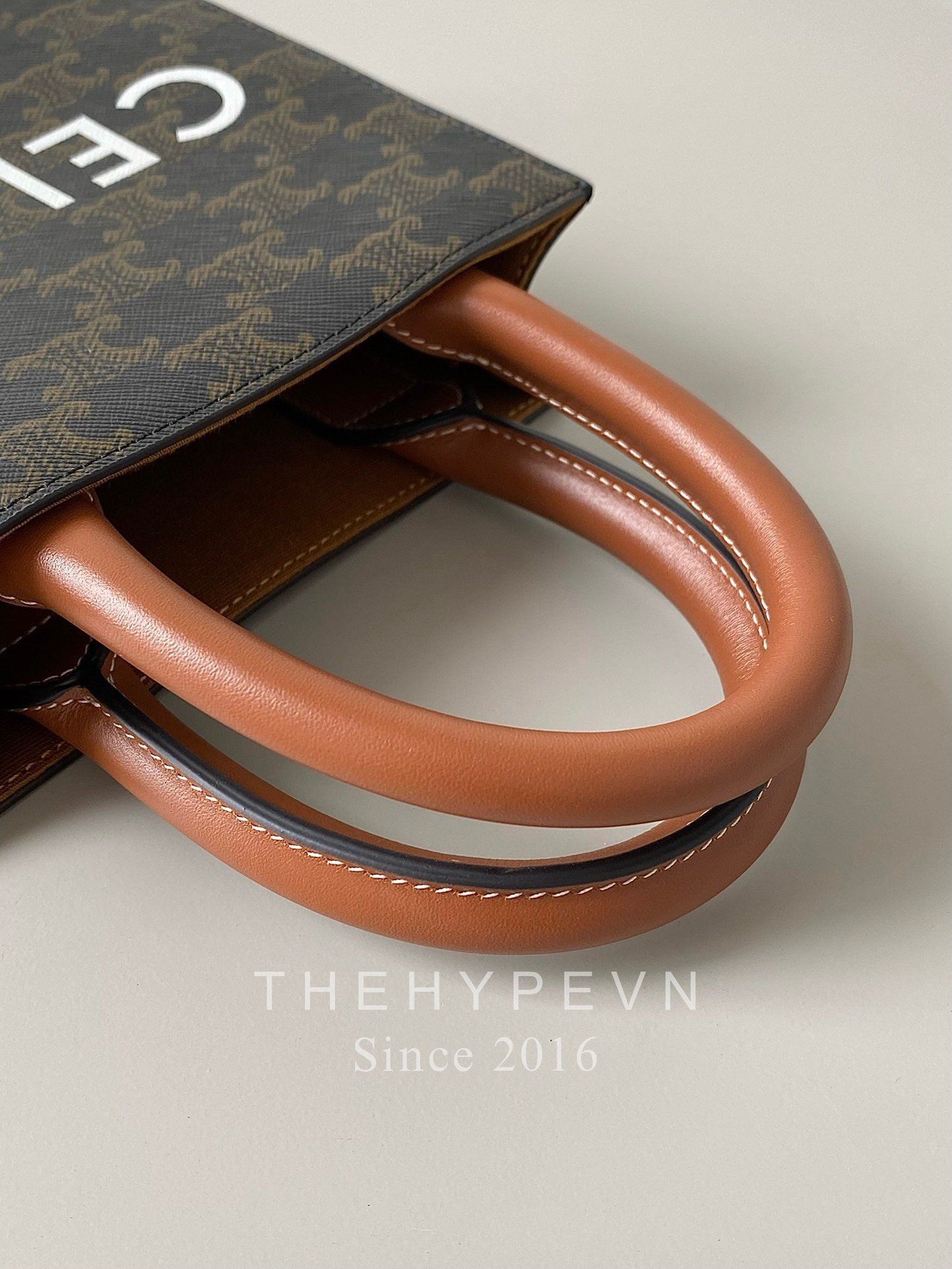  Túi Celine MINI VERTICAL CABAS IN TRIOMPHE CANVAS AND CALFSKIN WITH CELINE PRINT (Tan) [MIRROR QUALITY] 