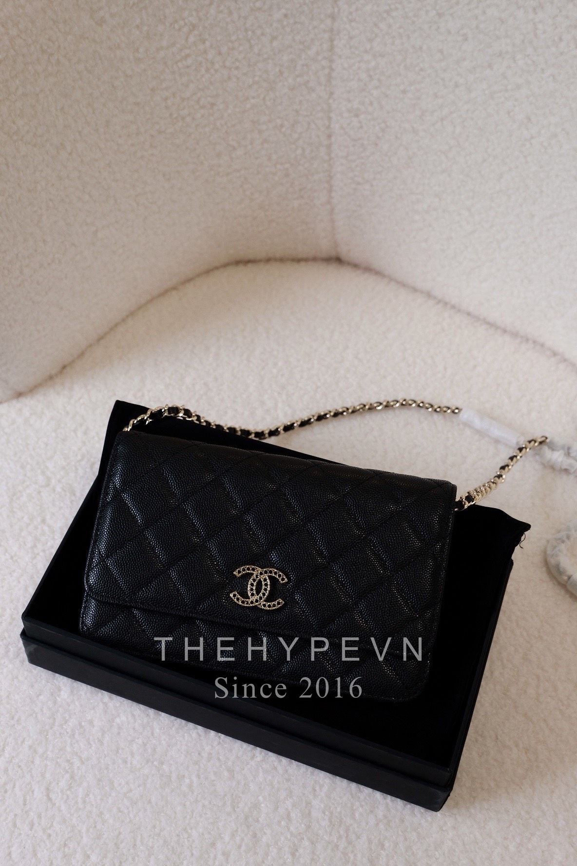  Túi Chanel Wallet On Chain (Black) [Mirror Quality] 