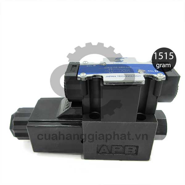 Van điện từ thủy lực Saintfon DSG