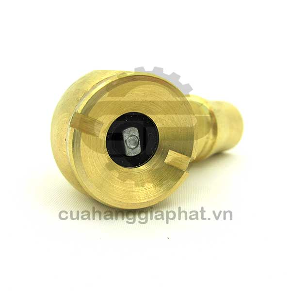 Đầu bơm xe nhanh đồng