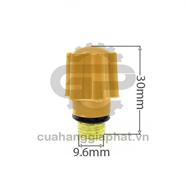 Đuốc hàn tig nước WP17