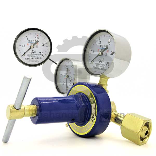 Đồng hồ oxy hộp xốp