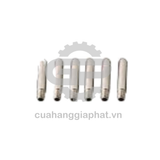 Ruột béc cắt plasma AG60