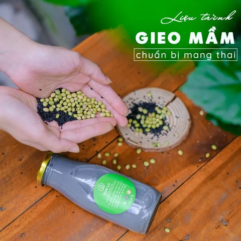 Liệu trình tiền mang thai