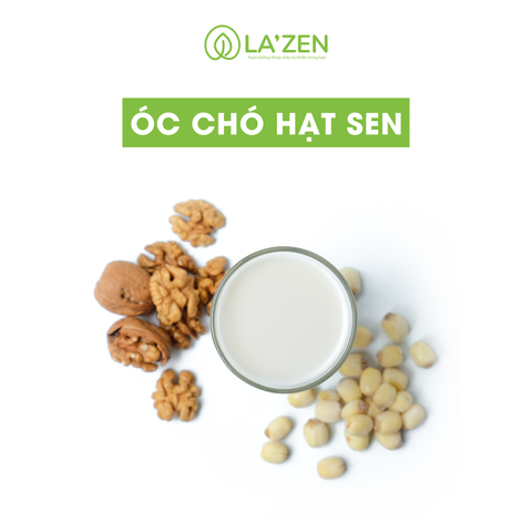 Sữa Óc chó hạt sen