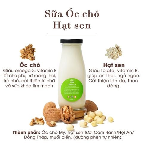 Sữa Óc chó hạt sen