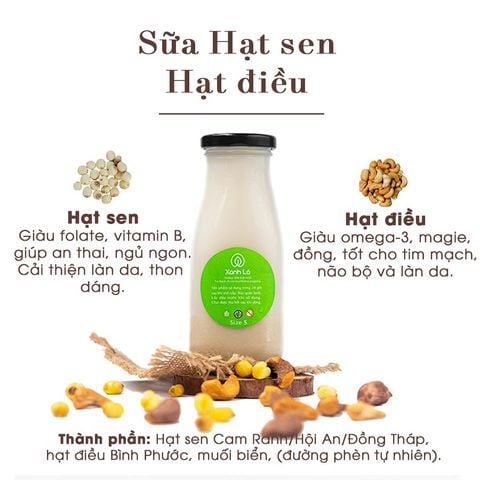 Sữa Hạt sen hạt điều