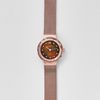  SKAGEN LEONORA 456SRR1 