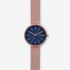  SKAGEN SIGNATUR SKW2593 