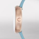  SKAGEN SIGNATUR SKW2621 