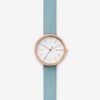  SKAGEN SIGNATUR SKW2621 