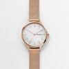  SKAGEN ANITA SKW2633 