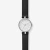  SKAGEN SIGNATUR SKW2639 