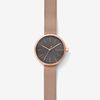  SKAGEN SIGNATUR SKW2645 