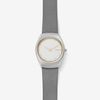  SKAGEN ASTA SKW2654 