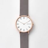  SKAGEN HALD SKW2674 