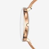  SKAGEN KAROLI SKW2688 
