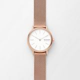  SKAGEN SIGNATUR SKW2694 
