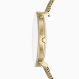  SKAGEN KAROLI SKW2722 
