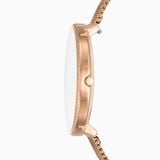 SKAGEN KAROLI SKW2726 