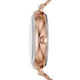  SKAGEN KAROLINA SKW2980 