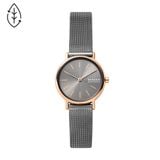  SKAGEN SIGNATUR SKW2996 