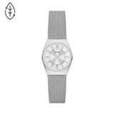  SKAGEN GRENEN SKW3038 