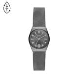  SKAGEN GRENEN SKW3039 
