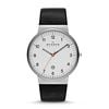  SKAGEN SKW6024 