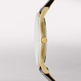  SKAGEN HOLST SKW6246 