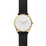  SKAGEN HOLST SKW6246 