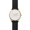  SKAGEN HOLST SKW6246 